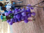 Childrens Day