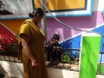 Plantion Of Saplings