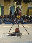 Pongal Celebration 2